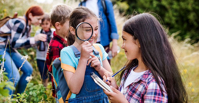 Campground Management Safety Checklist